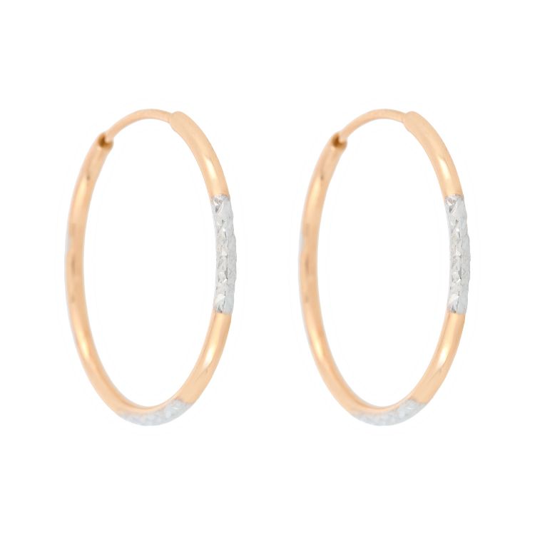 Pilt Kõrvarõngad 2,3 cm