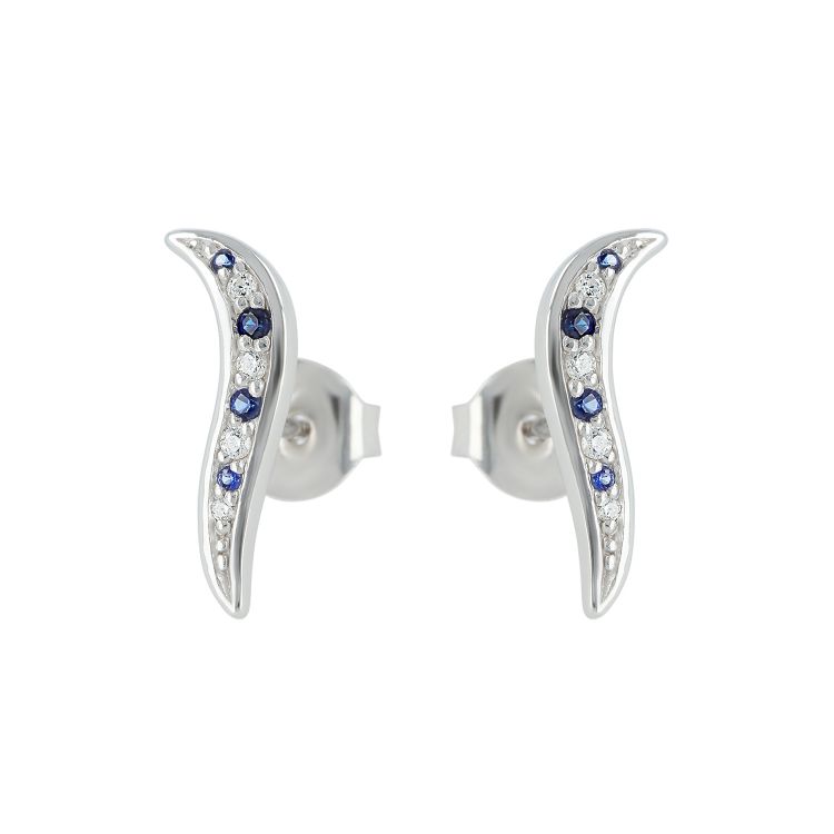 Pilt Kõrvarõngad CZ