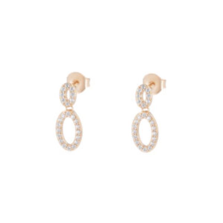 Pilt Kõrvarõngad CZ