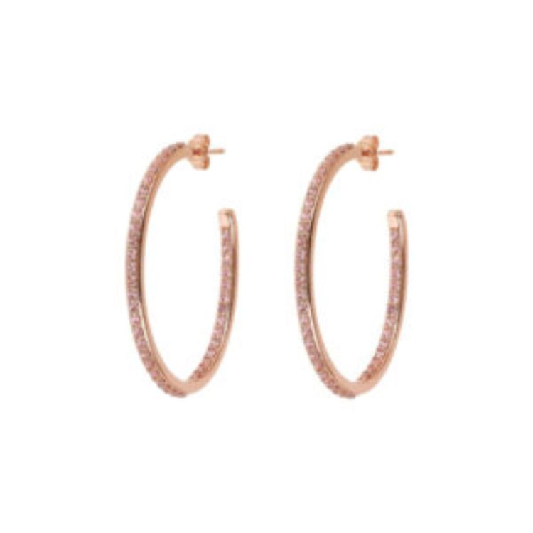 Pilt Bronzallure Kõrvarõngad