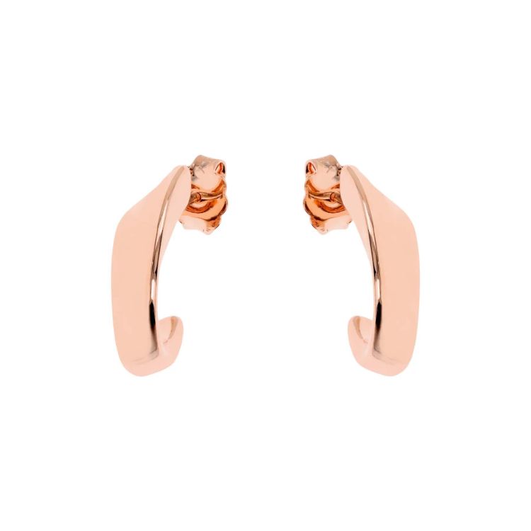 Pilt Bronzallure kõrvarõngad