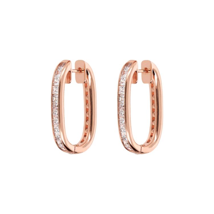 Pilt Bronzallure kõrvarõngad