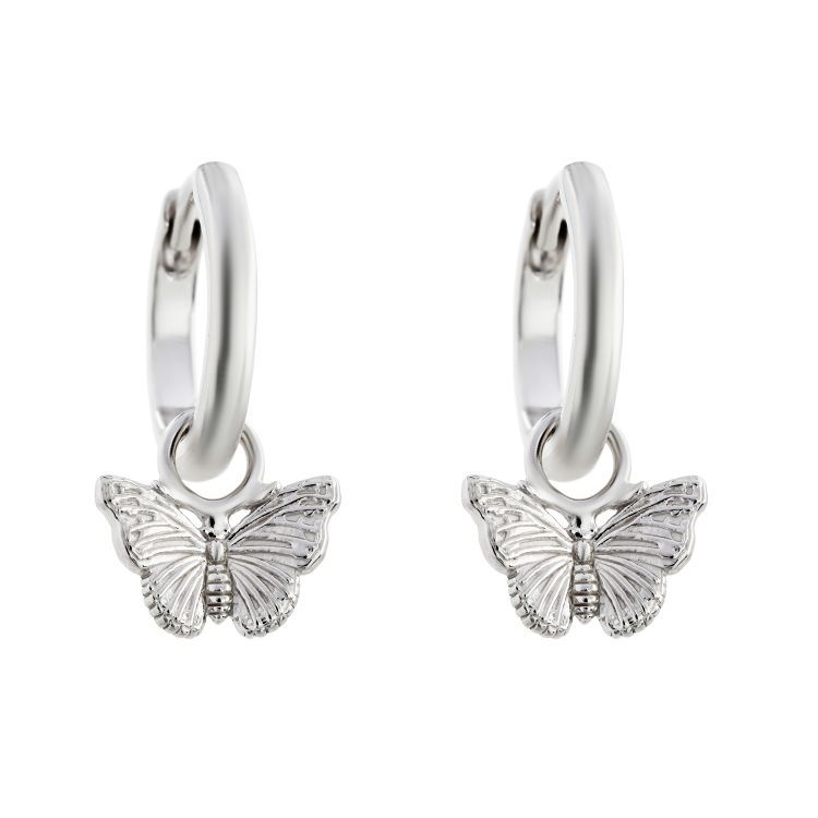 Pilt Kõrvarõngad CZ