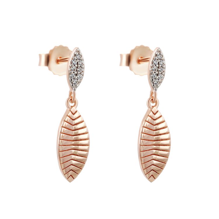 Pilt Kõrvarõngad CZ