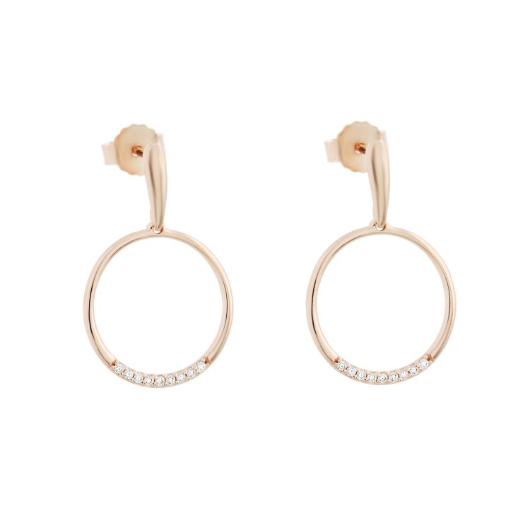 Pilt Kõrvarõngad CZ