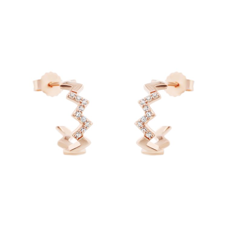 Pilt Kõrvarõngad CZ