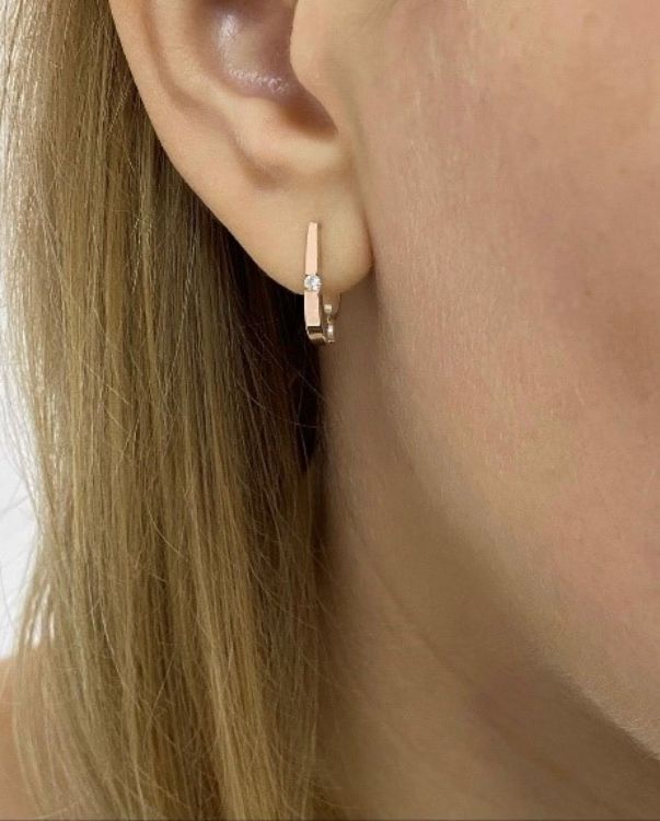 Pilt Svitozar kõrvarõngad CZ