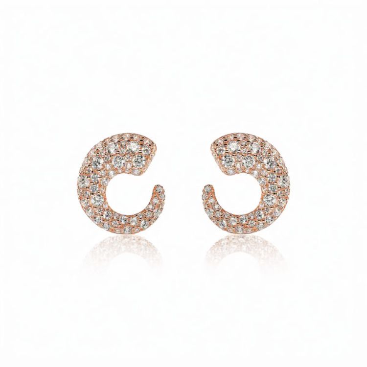 Pilt Bronzallure kõrvarõngad