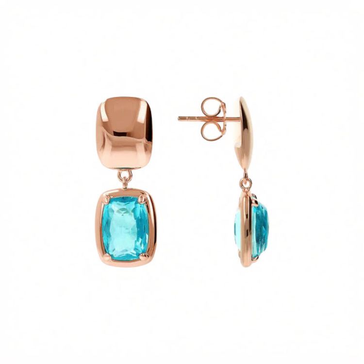 Pilt Bronzallure kõrvarõngad