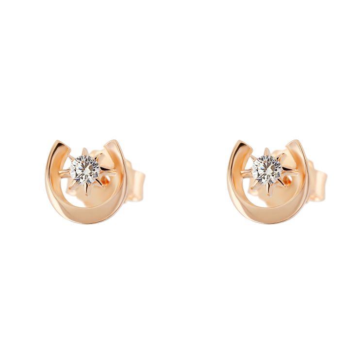 Pilt Kõrvarõngad CZ