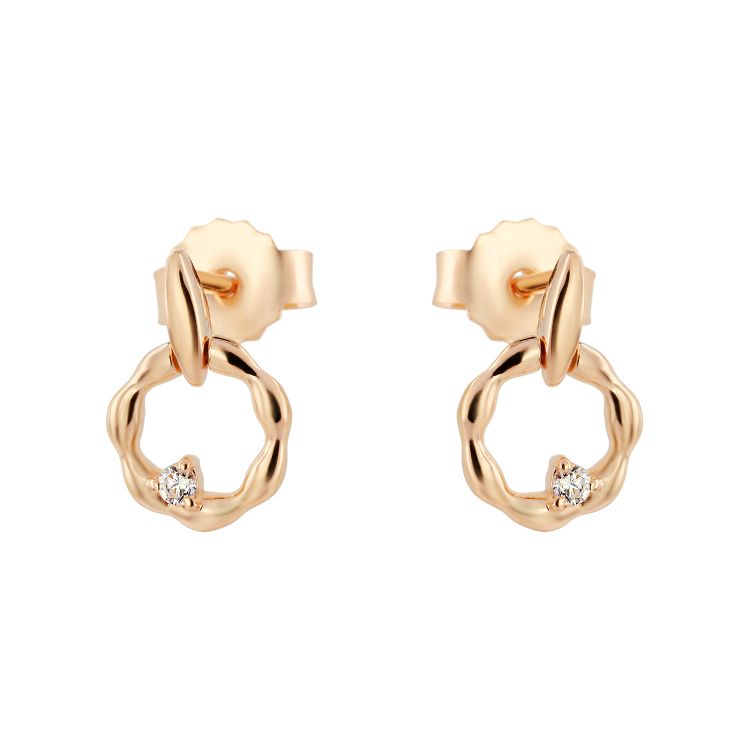 Pilt Kõrvarõngad CZ