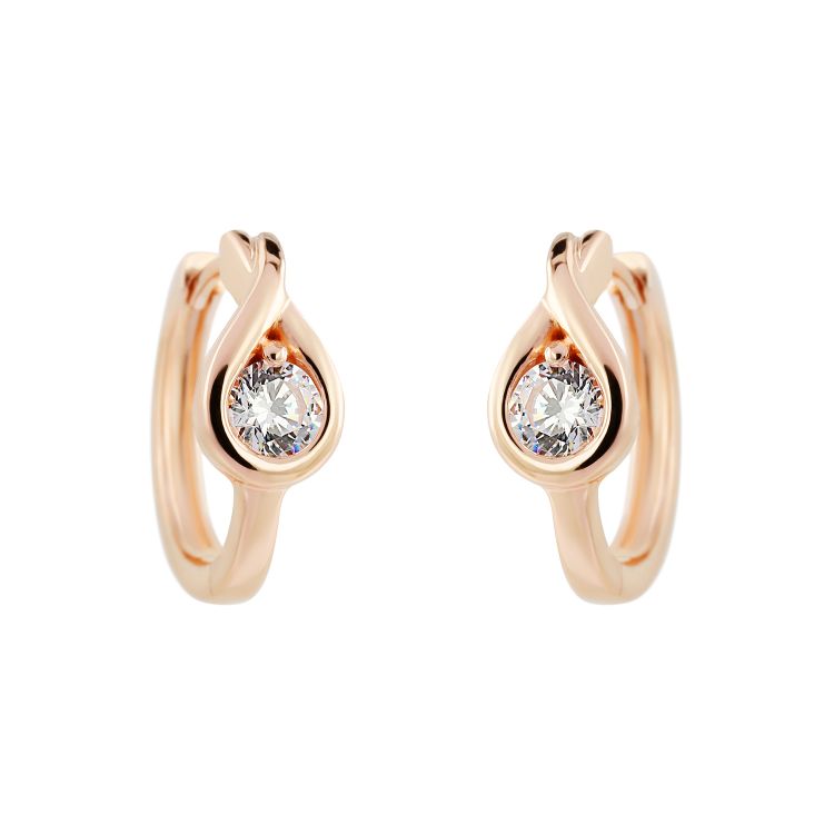 Pilt Kõrvarõngad CZ