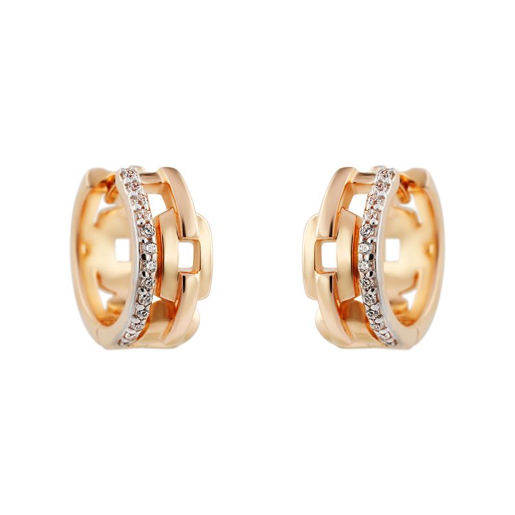 Pilt Kõrvarõngad CZ