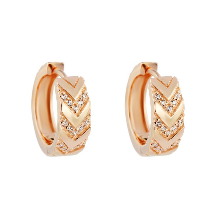 Pilt Kõrvarõngad CZ