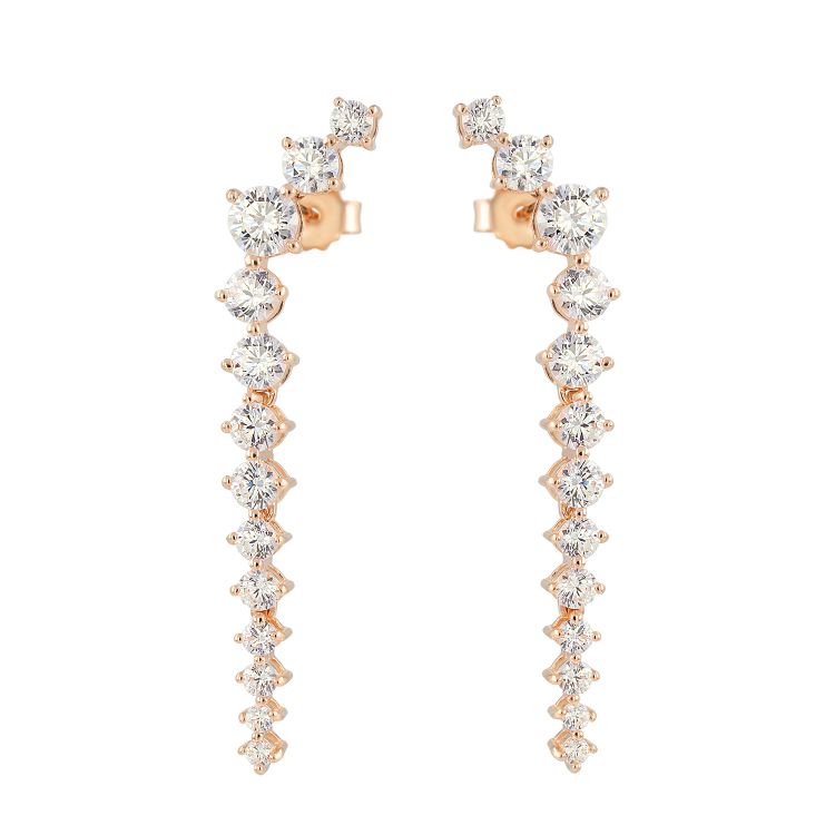 Pilt Kõrvarõngad CZ